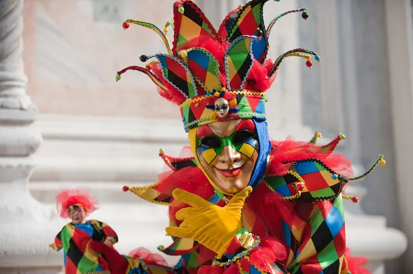 arlequin